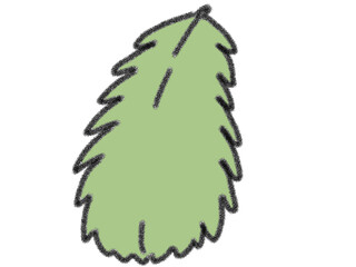 green leaf isolated on white