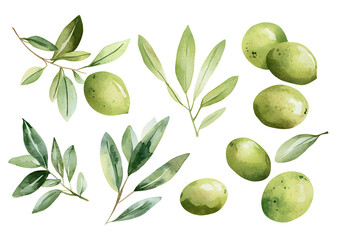 Green Olives and Leaves Pattern on White Background