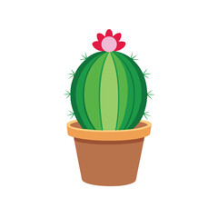 Golden barrel cactus vector. Round green cactus colorful vector. Cactus vector