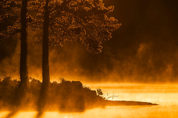 Misty lake at sunrise with silhouettes of trees in Sweden creating a serene landscape