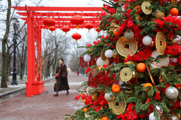Festive Chinese decorations, red paper lanterns, toy coins and tangerines on a fir tree in city...