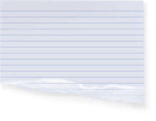 Obraz premium Ripped Lined Paper