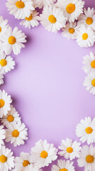 Obraz premium Arranging beautiful white daisies with bright yellow centers to create a charming frame against a vibrant purple background, offering ample copy space in the center for text or designs