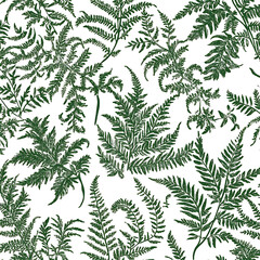 Flowers and leaves in pictures illustrator2D