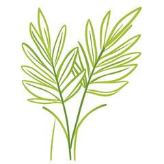 Fototapeta premium Flowers and leaves in pictures illustrator2D