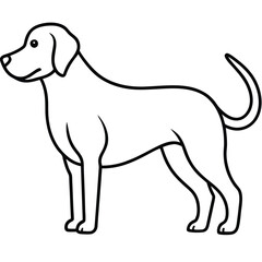 dog, illustration of a dog, a standing dog simple line art illustration