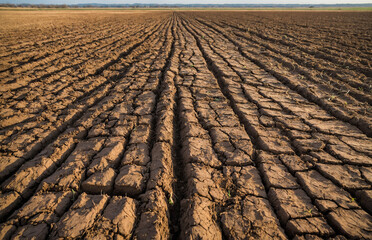 Impact of intensive agriculture on soil erosion, barren farmland
