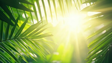 Sunlight Streaming Through Dense Tropical Rainforest Leaves in Vibrant Green Nature