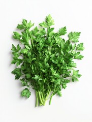 Obraz premium Parsley on white