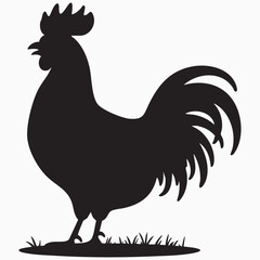 rooster isolated on white background silhouette 