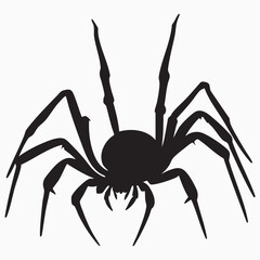 black spider isolated on white  silhouette 
