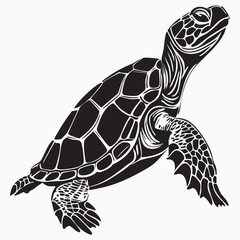 turtle silhouette 