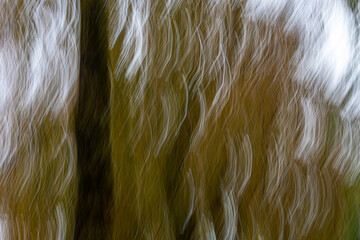 Intentional camera movement (ICM), background of abstract lines