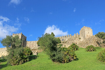 Fototapeta premium Castle of Castellar de la Frontera, Spain 