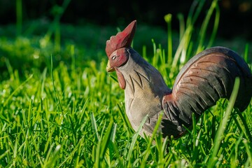Colorful Rooster Surrounded by Green Foliage