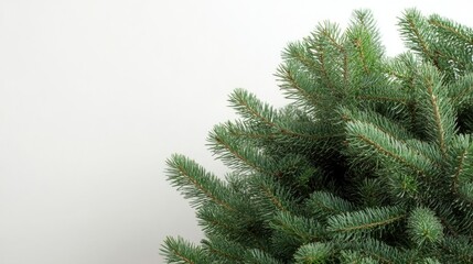 Obraz premium Christmas tree close-up with greenery and blank space for holiday text and messages on a light background