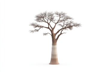 Fototapeta premium Elegant tree stands tall with intricate branches, showcasing uni
