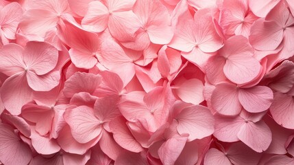 Delicate pink flower petals background with soft textures ideal for natural beauty themes and text overlay space