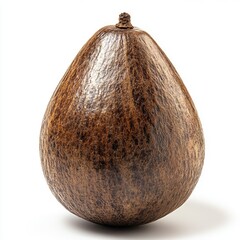 A close-up of a brown, textured seed resembling an avocado, isolated on a white background