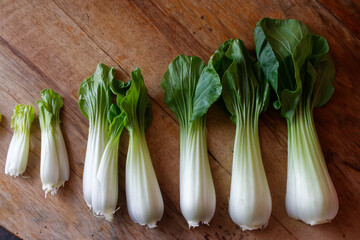 Zdekonstruowana kapusta bok choi (pak choi) - podzielona na liście