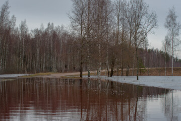  Flooded rural area with bare trees reflecting in the water, icy patches, a submerged road, and an...