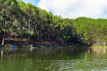 Beautiful destination nature lake and forest of Pang Oung lake and pine forest in Mae Hong Son, Thailand. Nature landscape. Environmental friendly outdoor activity and camping surrounded by valley.