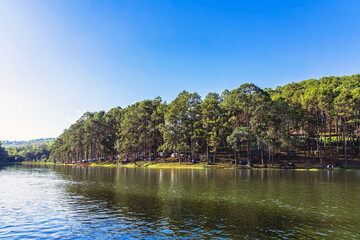 Beautiful destination nature lake and forest of Pang Oung lake and pine forest in Mae Hong Son, Thailand. Nature landscape. Environmental friendly outdoor activity and camping surrounded by valley.