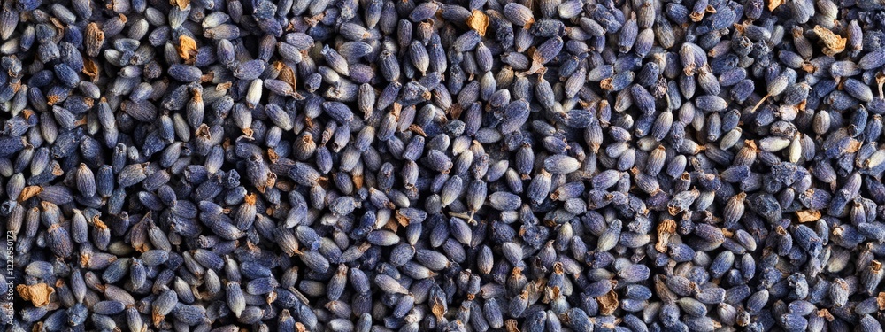 Aufkleber dried lavender flowers texture close-up with blank space for text or design applications suitable fo