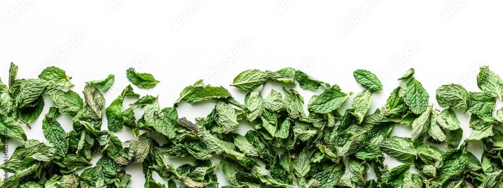 Poster Dried Mint Leaves Aromatic Background with Empty Space for Text and Design Elements
