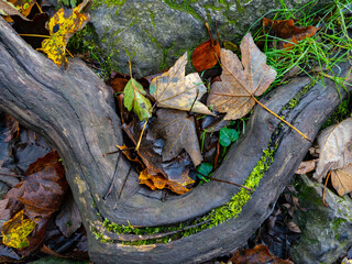 Herbstimpression aus dem Hönnetal im Sauerland
