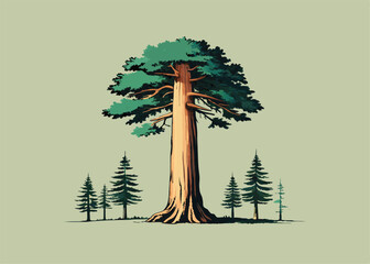 redwood tree vector illustration, the tallest tree in the world vector illustration isolated on white background