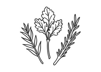 Fototapeta premium Realistic hand drawn herbs & wild flowers