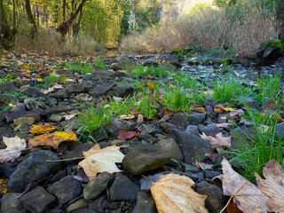 Herbstimpression aus dem Hönnetal im Sauerland