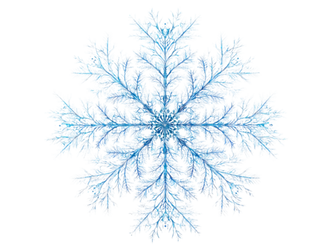 winter Snowflake isolated on white background