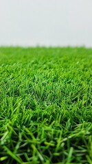 Fototapeta premium Fresh green grass field with shallow depth of field, perfect natural lawn texture background for landscaping and sports ground concepts, close-up spring nature macro shot