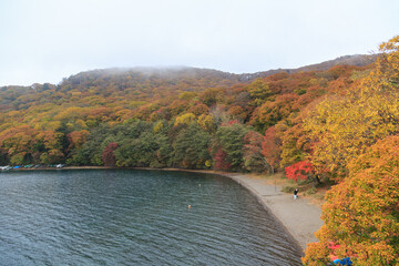 日光　紅葉　いろは坂