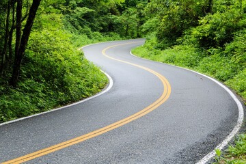 Obraz premium A winding rural pathway surrounded by lush greenery, symbolizing the journey of life and personal growth