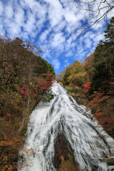 日光　紅葉　いろは坂