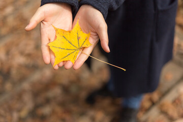 日光　紅葉　いろは坂
