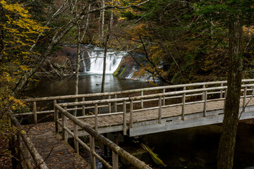 日光　紅葉　いろは坂