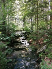 Szrenica, Poland, Europe