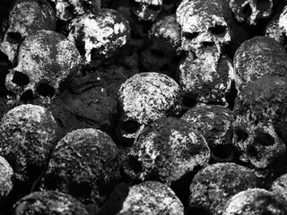 Schädel in einer Gruft, künstlich