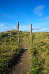 Piquetes de madera de cercado en sendero rural