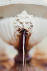 Deer Park Spring Historic Mineral Water Fountain Congress Park Saratoga Springs New York