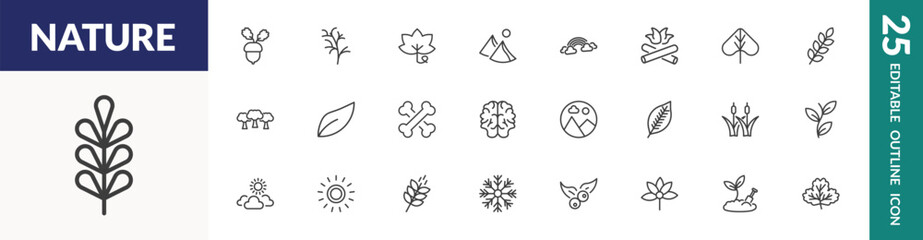 outline nature icons set. editable linear nut leaf, grape leaf, rainbow behind a cloud, and other 22 icons in this category isolated on transparent background.