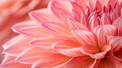 Fototapeta premium Flora texture captured in a macro shot. floral abstract background, wallpaper
