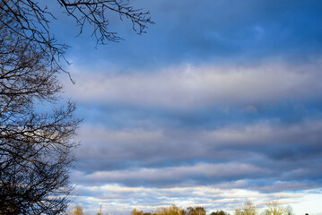 Cielo nublado en invierno y ramas de &aacute;rbol