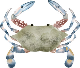 watercolor crab © Je