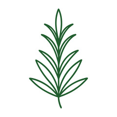 Rosemary Agricultural Machinery High Quality Tools for Efficient Farming Solutions