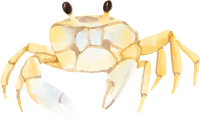 watercolor crab